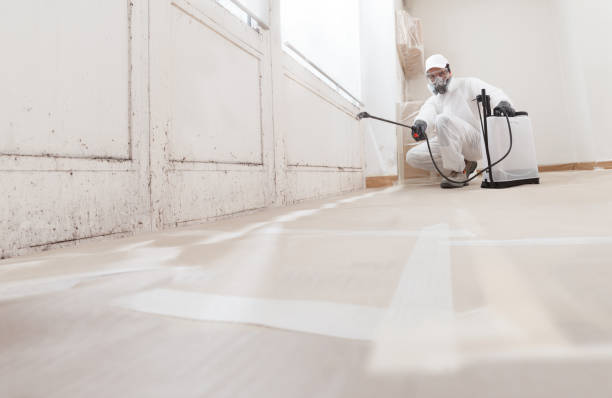 24/7 Emergency Commercial Mold Remediation experts in Wheaton, IL